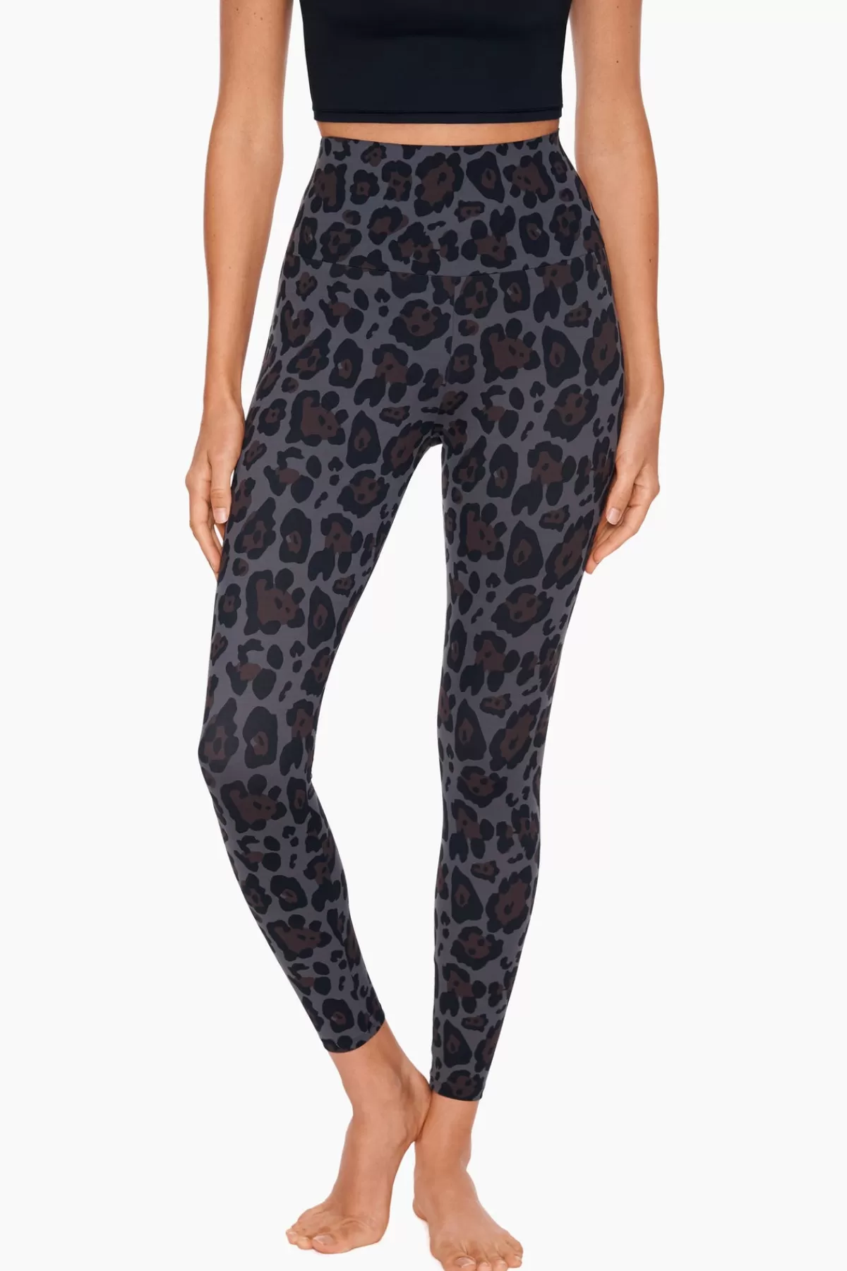 Miraclesuit Athleisure Legging | Women Printed